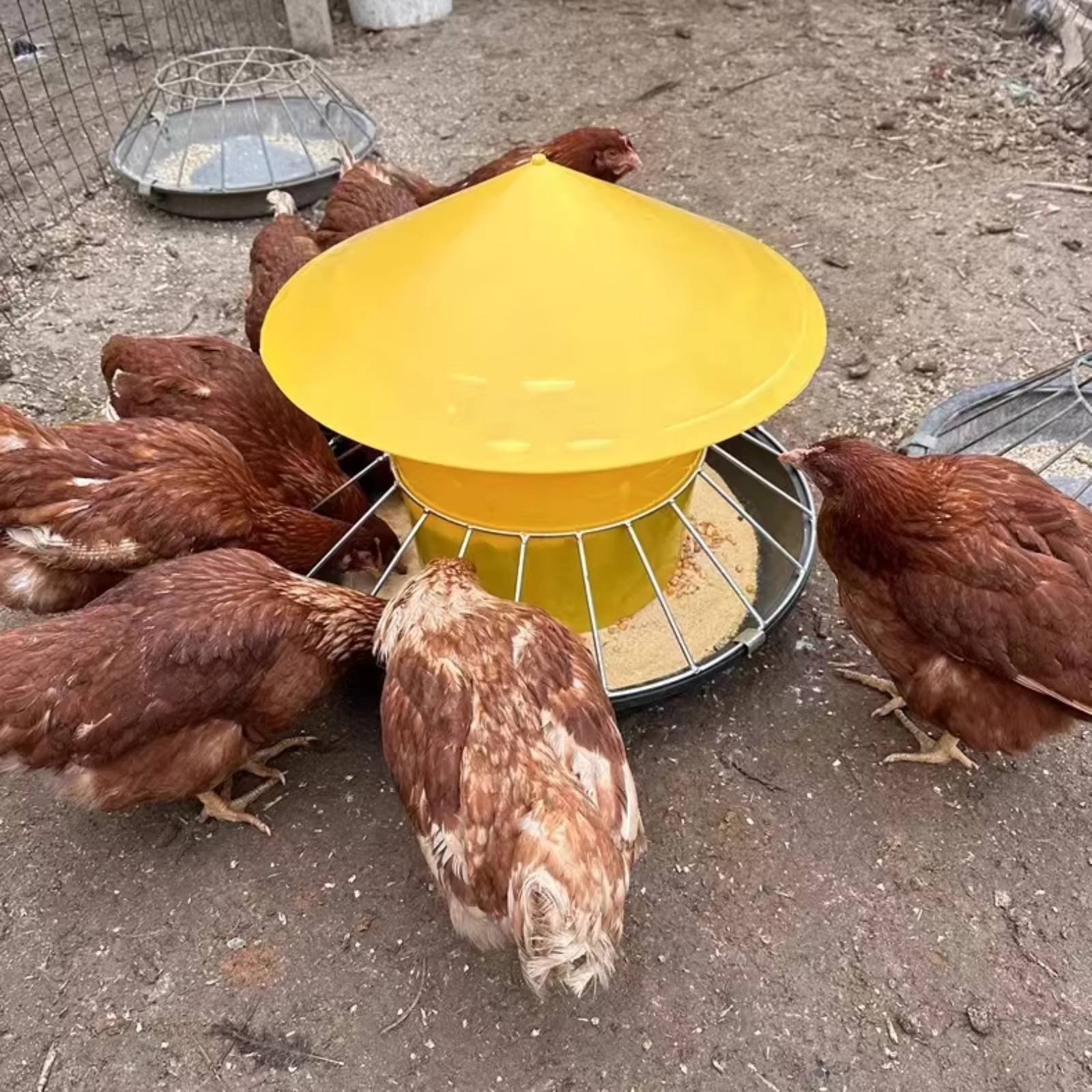 Runder Geflügelfütterer mit Gr – Feeding Bewertung und Preis