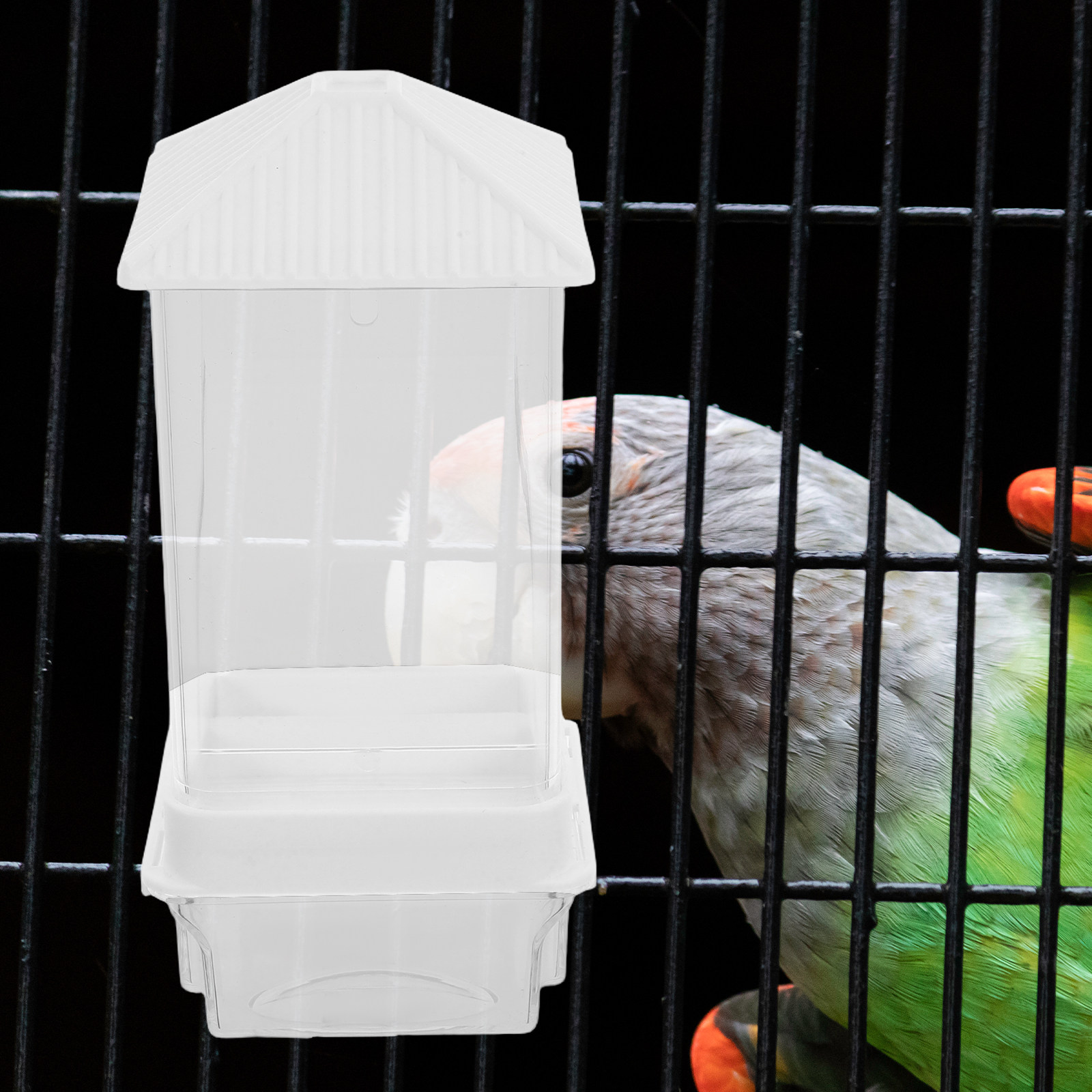 Automatischer Vogelfutterautom – Feeding Bewertung und Preis